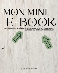 Mini e-book "Les bases pour gérer son entreprise sur les réseaux"